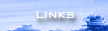 Internet Resources on the De Young: Follow links to web sites which provide additional facts and opinions about the Museum, including the web site of the project's owner, Fine Arts Museums of San Francisco