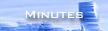 Case Study Process: View the case study team's minutes from meeting with various parties involved in the project